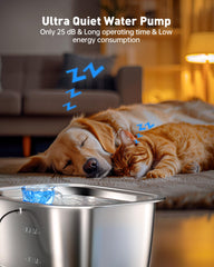 PETDOTT filtered water bowl photo emphasizes clean hydration for pets.