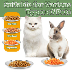 Petdream dishwasher-safe stainless steel bowl demonstrates easy cleaning after meals.