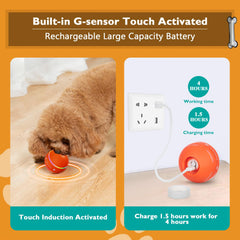 PetDroid durable polyamide material closeup highlighting safe construction