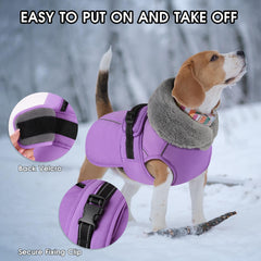 PETDSH dog coat large thick collar insulation demonstrated for extra warmth.