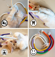 Petelligent Bent Cat Rope Toy during playtime showing interactive tease for cats.