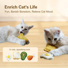 Petelligent loofah chew cat toy kitten-teething session with safe chewing.