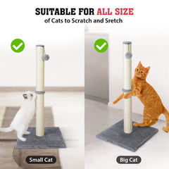 Petellow base-plate provides stable footing to prevent tipping during use.