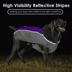 Petglad coat features reflective stripes for night visibility during walks