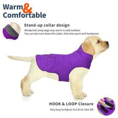 Petglad dog coat with reflective stripes boosts visibility during evening outings.