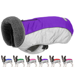 Petglad dog coat back view with waterproof ripstop purple fabric for cold walks
