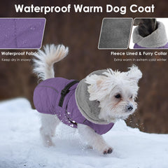 Petglad winter jacket with reflective stripes enhances visibility during night walks.
