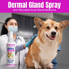 Petglow odor neutralization visual showing odor control.