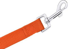 PETGOGO 40ft dog leash in orange enables safe distance during play.