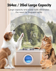 PETHIND stainless steel dog water fountain shows durability and safe construction