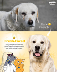 PETHROOM eye comb round-head design comforts sensitive areas during grooming