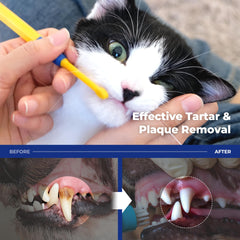 PETHROOM pet toothbrush bristle close-up highlights ultra-soft microbristles for gentle cleaning.