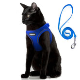 PetiFine cat harness baby blue front view showing escape-proof security.