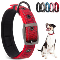 PetiFine dog collar large neoprene padding offers cushioned comfort on long walks.