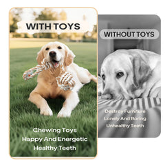 PetiFine cotton rope ball for training and closer pet-owner interaction