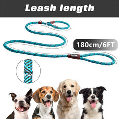 PetiFine slip lead blue durable-nylon demonstrates strong, reliable construction for daily use.