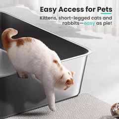 Petinstinct open-top design reduces enclosure anxiety for cats