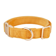Petiry D-ring welded attachment emphasizing durability for daily walks.