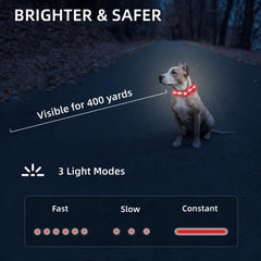 PetIsay Adjustable Full-Length Dog Collar showing flexible fit and comfort.