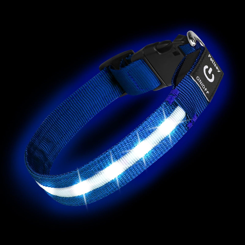 PetIsay Super Bright LED Dog Collar blue glow for nighttime visibility on walks.