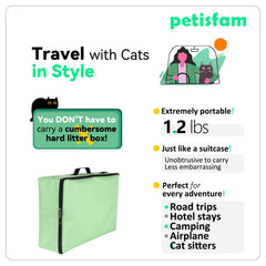 petisfam car-back-seat setup demonstrates flexible space-saving design.