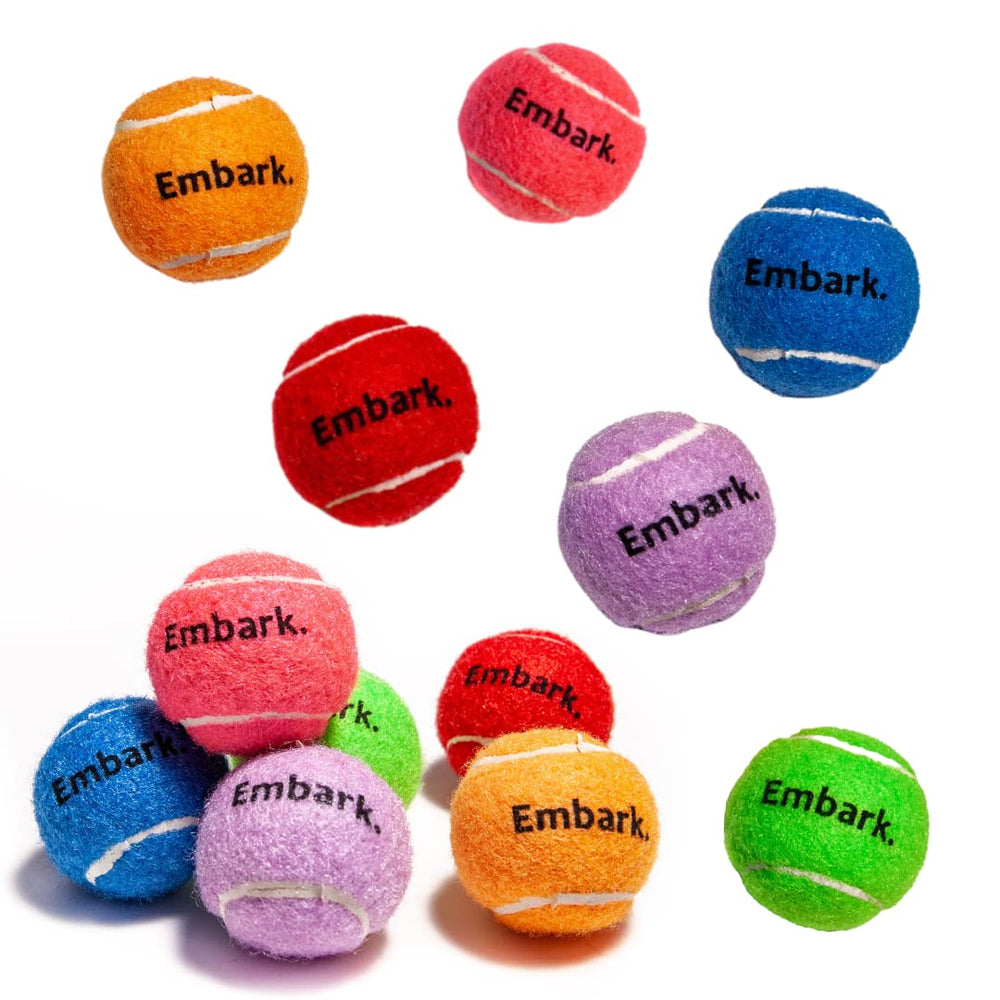 Petite Paws colorful squeaky tennis ball 12-pack supports engaging fetch for small dogs.