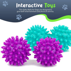 Petite Paws 4-pack spiky balls in purple and teal for interactive fetch and chew.