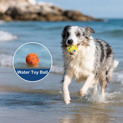 Petizer ETPU dog balls made from non-toxic material, safe for puppies.