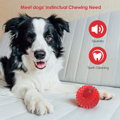 Petizer-meat-flavored-dog-ball attracts dogs for extended play