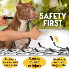 PetJett prong collar adjustment links show easy sizing for a snug fit.