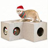 PETKARAY cat tunnel front view shows sturdy felt construction for indoor play.