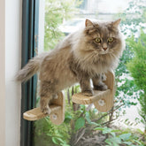 PETKARAY original window stairs closeup with hidden suction cups for neat mounting