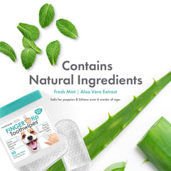 Petkin Fingertip Tooth Wipes aloe-enriched formula gentle on gums.