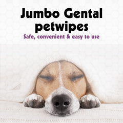 Petkin Jumbo Ear Wipes closeup showing extra moist formula for gentle cleaning