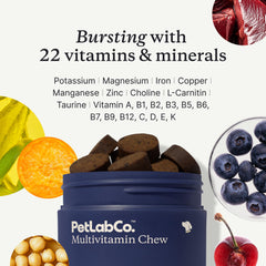 PetLab Co 22-in-1 dog multivitamin pup chewing demonstrates easy routine