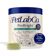 PetLab Co ProBright dental powder bottle; simplifies daily care for dogs.
