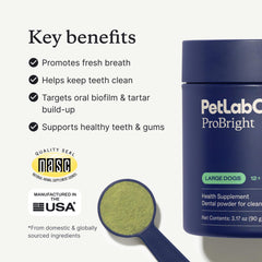 PetLab Co ProBright powder being sprinkled emphasizes simple one-scoop-a-day usage.