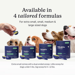 PetLab Co ProBright dental powder close-up bottle demonstrates USA-made quality.