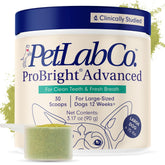 PetLab Co. ProBright large-dog tub closeup, easy daily dental powder for fresher breath