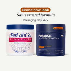 PetLab Co. Salmon Itch Relief Chew Pro chews in bowl for daily skin support