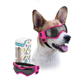 PETLESO dog goggles front view in pink protect eyes from wind outdoors.