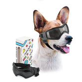 PETLESO dog goggles medium face curved-lens for eye protection during walks