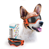 PETLESO dog goggles on a medium dog face offering UV protection during sunny walks