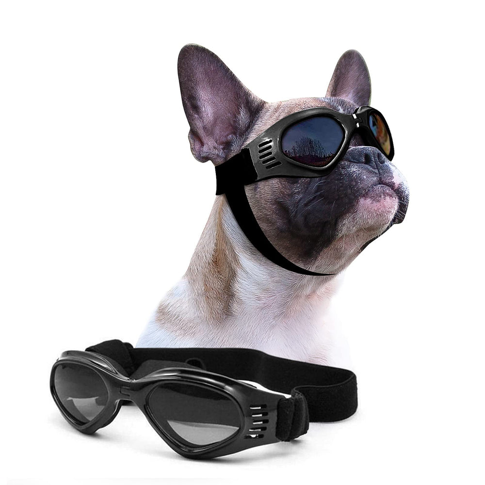 Petleso dog goggles with UV protection for outdoor adventures.