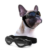 Petleso dog goggles with UV protection for outdoor adventures.