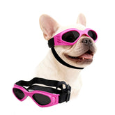 Petleso dog goggles pink front view showing wind and UV protection for small to medium dogs