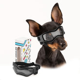 PETLESO dog goggles small-breed-uv protection for sunny car rides.