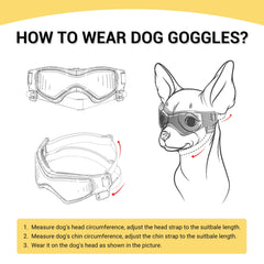 PETLESO UV-protection dog sunglasses guard eyes from UV wind and dust.