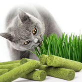 Petllgood cat grass sticks packaging shows convenient snack option for busy owners.
