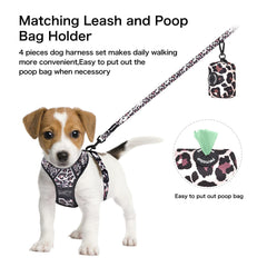Petmolico leash with rotating clasp and harness – prevent twisting during walks